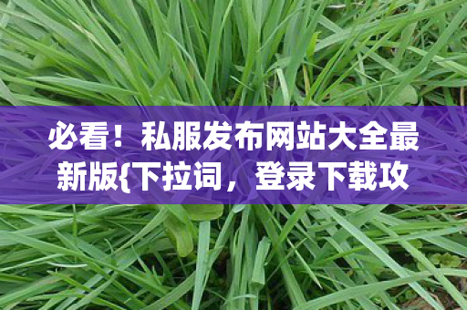必看！私服发布网站大全最新版{下拉词，登录下载攻略}揭秘