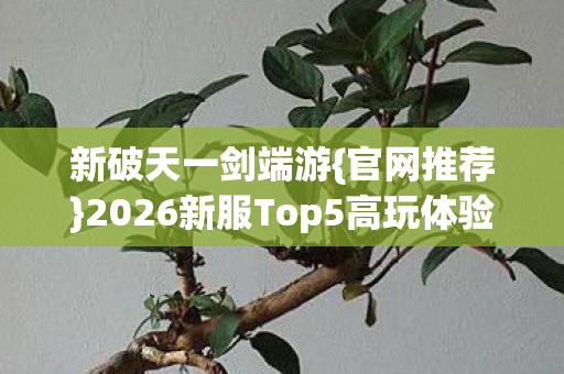 2026新服Top5高玩体验图片