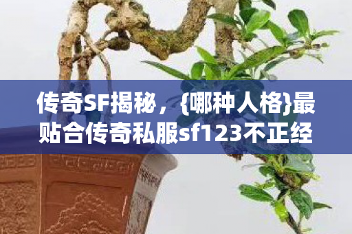 传奇SF揭秘,{哪种人格}最贴合传奇私服sf123不正经调性 传奇SF揭秘,{哪种人格}最贴合传奇私服sf123不正经调性
