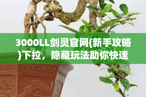 3000LL剑灵官网{新手攻略}下拉，隐藏玩法助你快速起飞