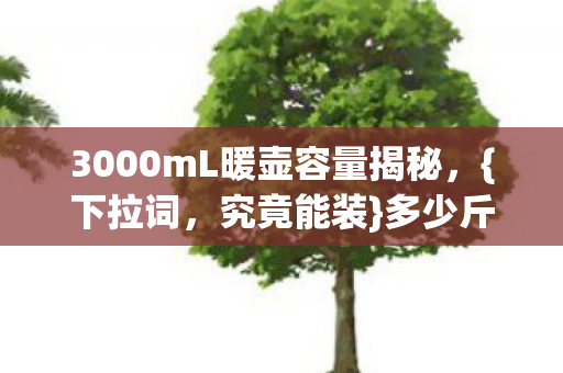 3000mL暖壶容量揭秘图片