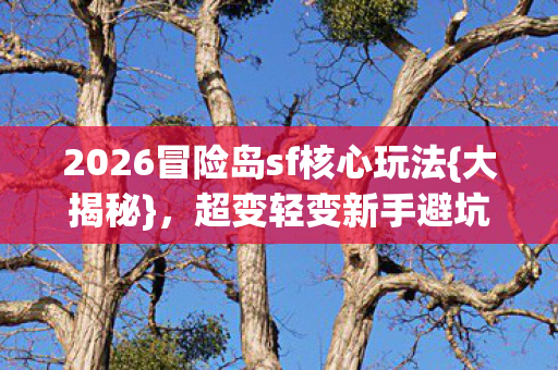 2026冒险岛sf核心玩法图片