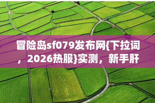 新手肝300小时避坑指南图片