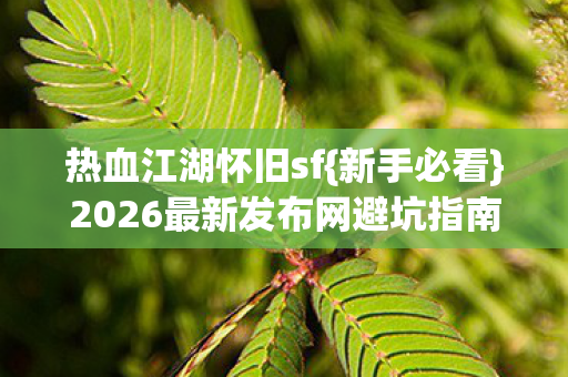 2026最新发布网避坑指南图片