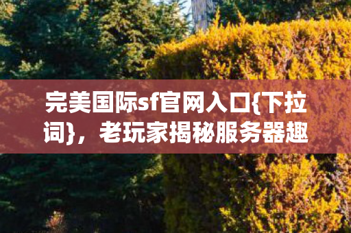 老玩家揭秘服务器趣与坑图片