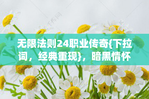 无限法则24职业传奇{下拉词，经典重现}，暗黑情怀不灭青春回忆认证