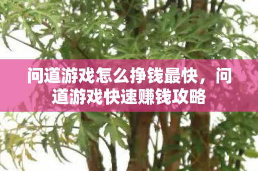 问道游戏怎么挣钱最快，问道游戏快速赚钱攻略