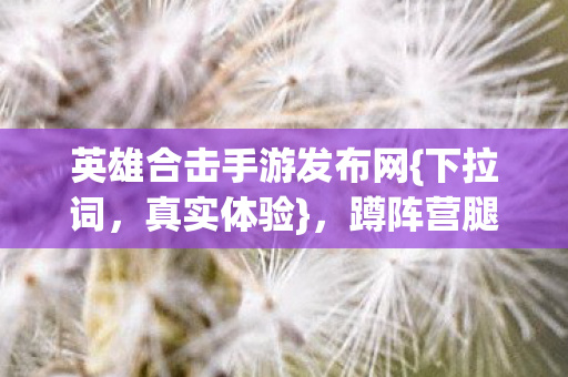 英雄合击手游发布网{下拉词，真实体验}，蹲阵营腿麻宠物坑的血泪