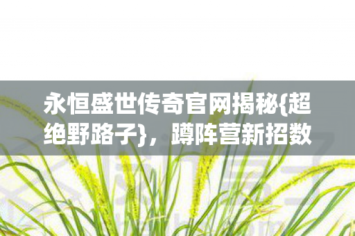 永恒盛世传奇官网揭秘{超绝野路子},蹲阵营新招数 永恒盛世传奇官网揭秘{超绝野路子},蹲阵营新招数