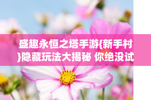 盛趣永恒之塔手游{新手村}隐藏玩法大揭秘 你绝没试过 盛趣永恒之塔手游{新手村}隐藏玩法大揭秘 你绝没试过