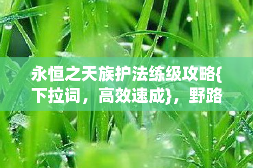 永恒之天族护法练级攻略{下拉词,高效速成},野路子助你脱坑 永恒之天族护法练级攻略{下拉词,高效速成},野路子助你脱坑