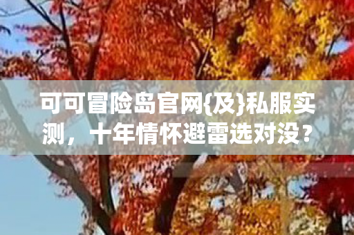 可可冒险岛官网{及}私服实测,十年情怀避雷选对没? 可可冒险岛官网{及}私服实测,十年情怀避雷选对没?
