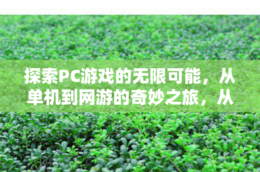探索PC游戏的无限可能,从单机到网游的奇妙之旅,从单机到网游,探索PC游戏的无限可能 探索PC游戏的无限可能,从单机到网游的奇妙之旅,从单机到网游,探索PC游戏的无限可能