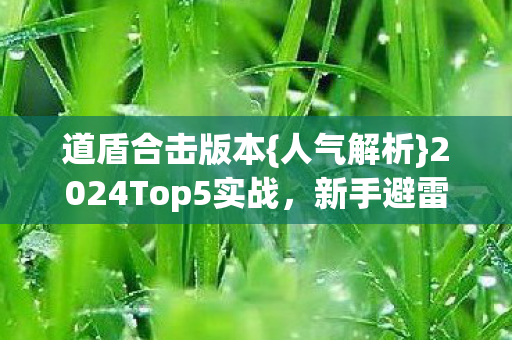 道盾合击版本{人气解析}2024Top5实战，新手避雷必看