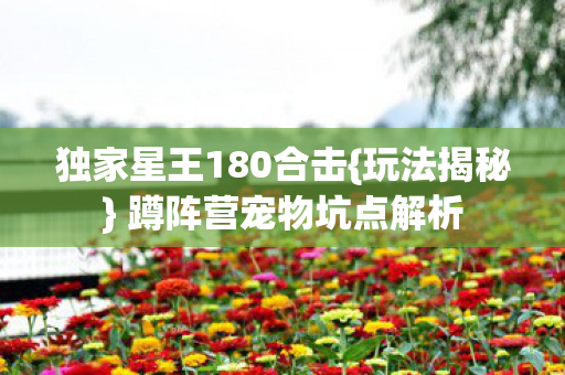 独家星王180合击{玩法揭秘} 蹲阵营宠物坑点解析