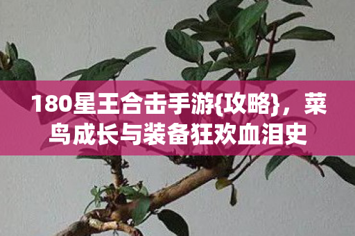 180星王合击手游{攻略}，菜鸟成长与装备狂欢血泪史