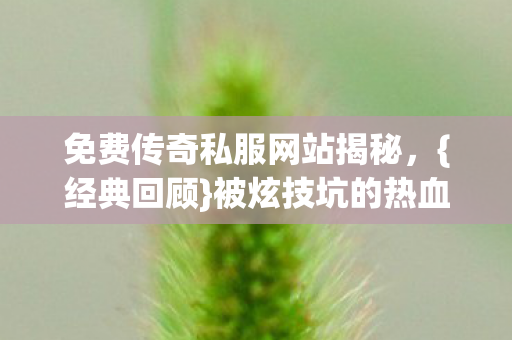 免费传奇私服网站揭秘，{经典回顾}被炫技坑的热血青春