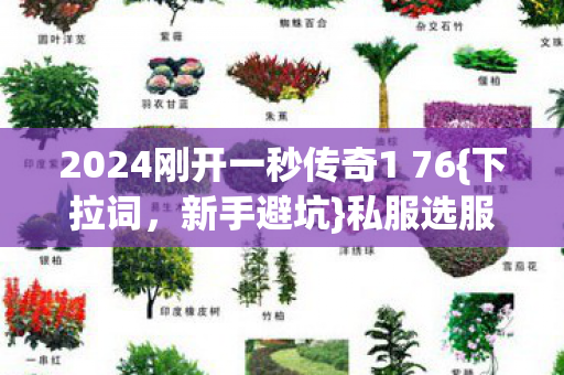 2024刚开一秒传奇1 76{下拉词，新手避坑}私服选服三招进对门