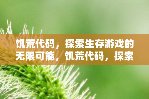 饥荒代码，探索生存游戏的无限可能，饥荒代码，探索生存游戏的无限可能