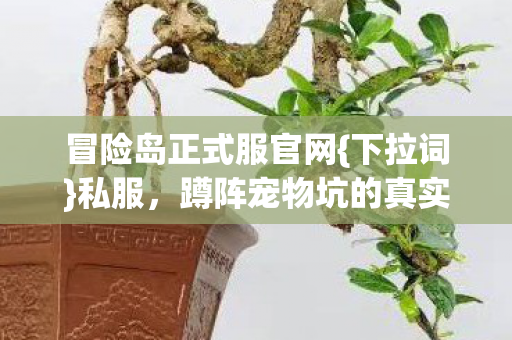 蹲阵宠物坑的真实经历图片