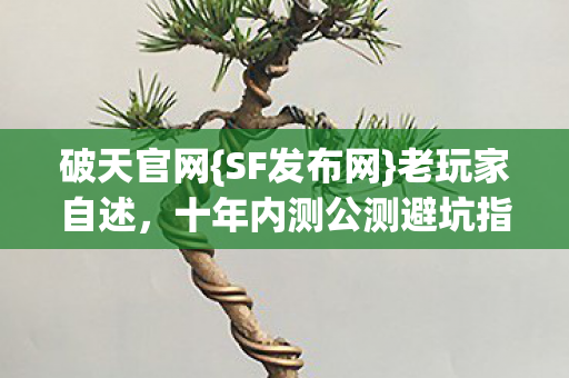 十年内测公测避坑指南图片