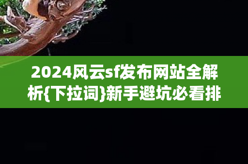 2024风云sf发布网站全解析图片