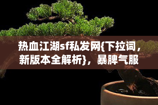 暴脾气服登录避坑指南图片