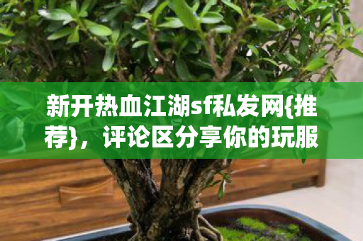 新开热血江湖sf私发网图片