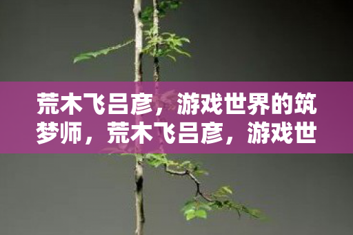 荒木飞吕彦，游戏世界的筑梦师，荒木飞吕彦，游戏世界的筑梦师