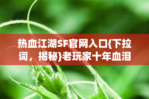 热血江湖SF官网入口图片