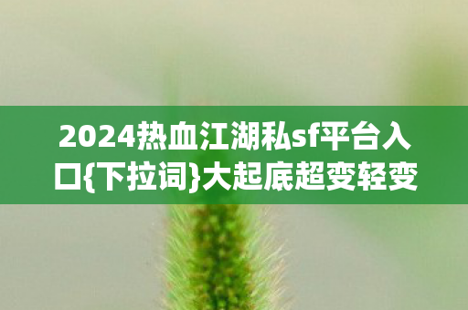 2024热血江湖私sf平台入口图片