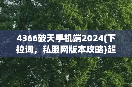 4366破天手机端2024图片