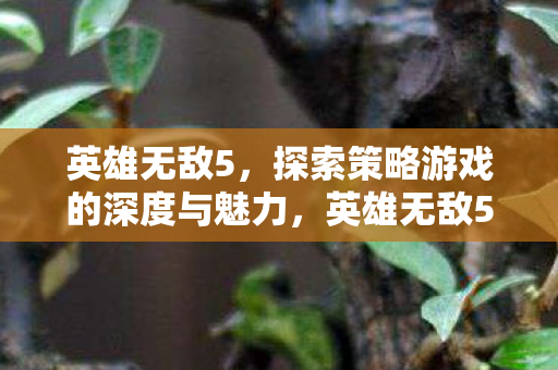 英雄无敌5，探索策略游戏的深度与魅力，英雄无敌5，探索策略游戏的深度与魅力