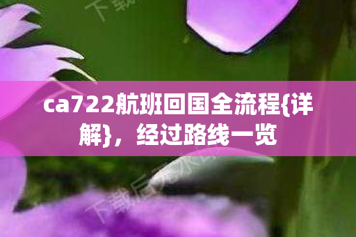 ca722航班回国全流程图片