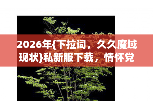 情怀党必看认证服选择图片