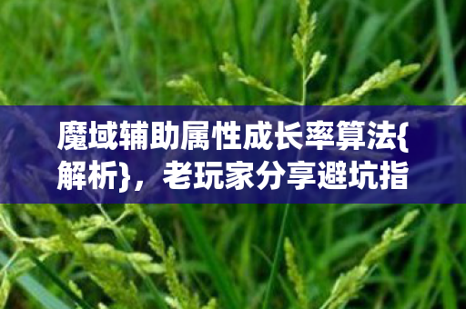魔域辅助属性成长率算法{解析},老玩家分享避坑指南 魔域辅助属性成长率算法{解析},老玩家分享避坑指南