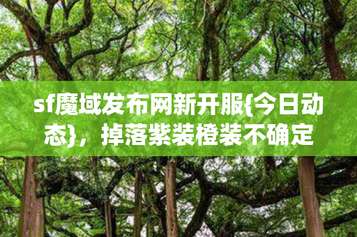 掉落紫装橙装不确定性魅力图片