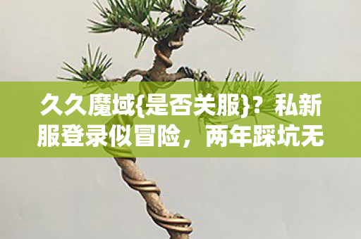 私新服登录似冒险图片