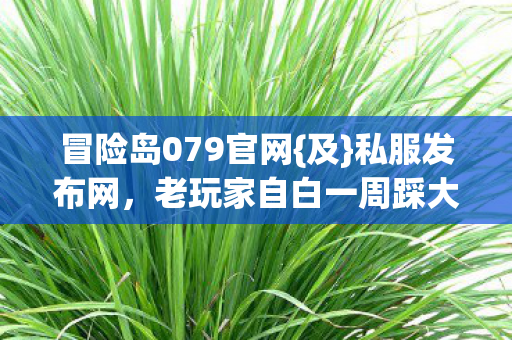 老玩家自白一周踩大坑经历图片