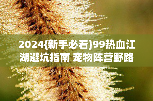 99热血江湖避坑指南 宠物阵营野路子图片