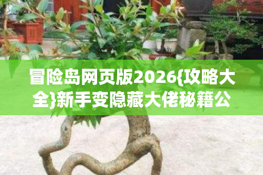 新手变隐藏大佬秘籍公开图片