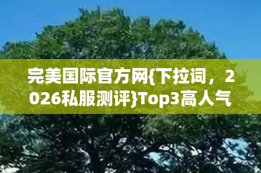 Top3高人气服避坑指南图片