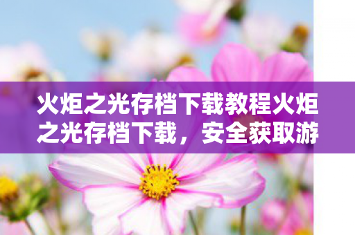 火炬之光存档下载教程火炬之光存档下载，安全获取游戏进度，避免风险操作，如何安全下载火炬之光存档，确保游戏进度不丢失？