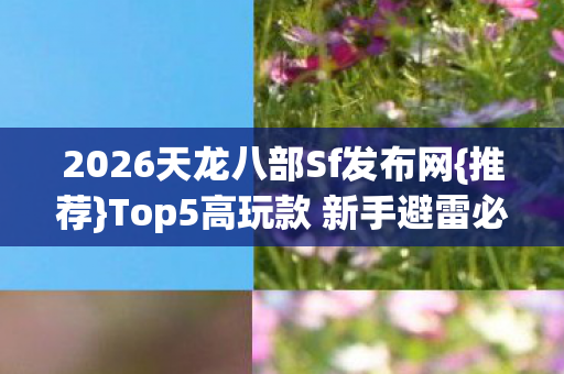 Top5高玩款 新手避雷必看图片