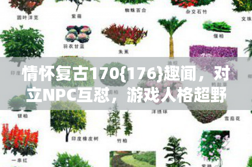 情怀复古170{176}趣闻,对立NPC互怼,游戏人格超野 情怀复古170{176}趣闻,对立NPC互怼,游戏人格超野