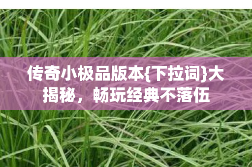 传奇小极品版本{下拉词}大揭秘,畅玩经典不落伍 传奇小极品版本{下拉词}大揭秘,畅玩经典不落伍