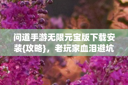 问道手游无限元宝版下载安装图片