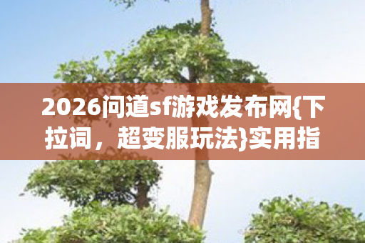 2026问道sf游戏发布网图片