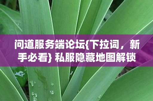 私服隐藏地图解锁避坑刷资源图片