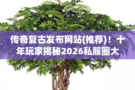 传奇复古发布网站{推荐}!十年玩家揭秘2026私服圈大坑 传奇复古发布网站{推荐}!十年玩家揭秘2026私服圈大坑